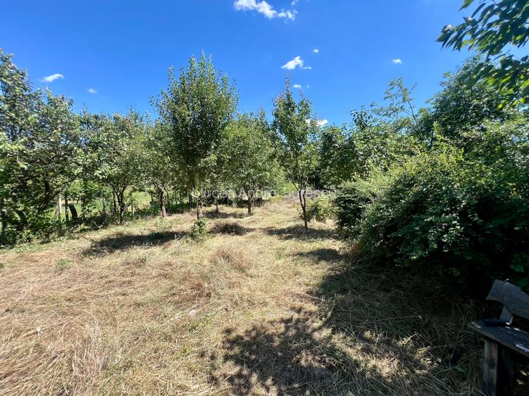 Vila de vanzare Iasi Ciurea Ciurea