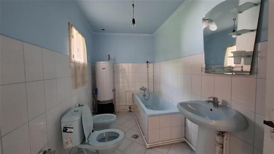 Casă individuală cu 4 camere cu Teren 2360 Mp în Gogoiu
