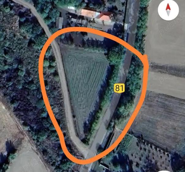 Teren de 1895 mp, în Belciug