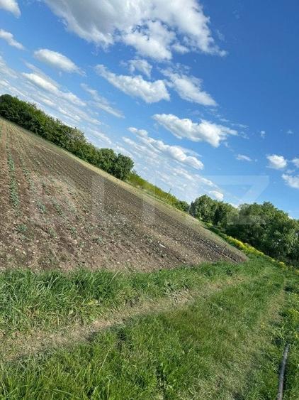 Teren Construcții extravilan de 4800 mp, în Rădăuți