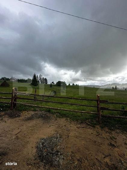 Teren de vanzare intravilan in Poiana Stampei, 2 hectare - 2
