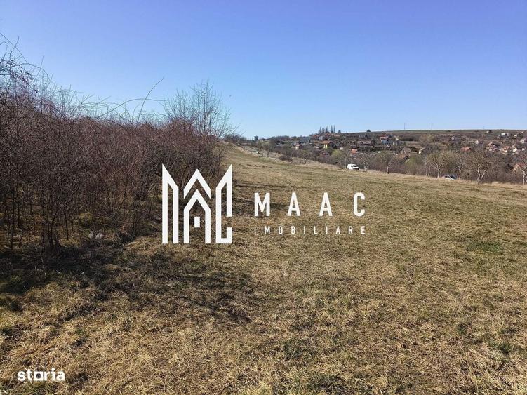 Spațiu comercial, în Daia