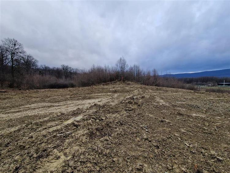 Teren Construcții intravilan de 764 mp, în Bârnova
