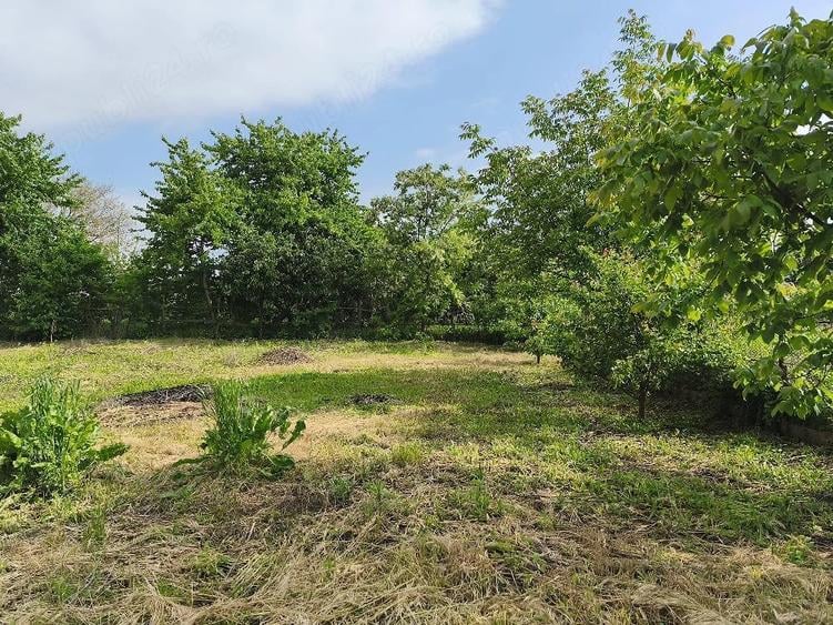 Teren de 700 mp, în Șerbănești