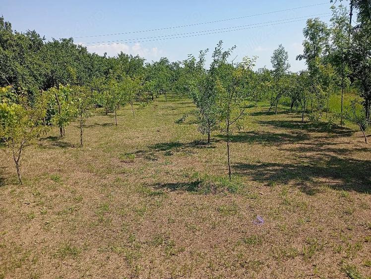 Casă cu 3 camere cu Teren 1700 Mp în Jugureni