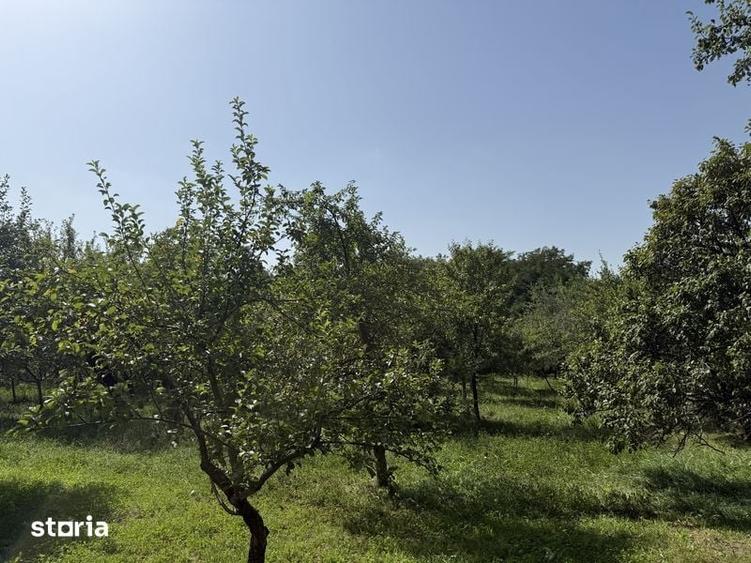 Teren de 2800 mp, în Central