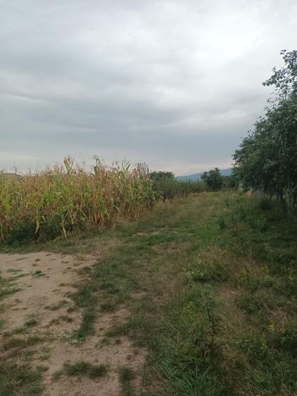 Spațiu comercial, în Cepari