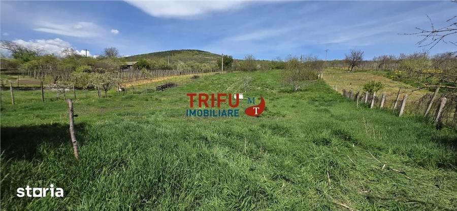 Casă cu 4 camere cu Teren 5000 Mp în Cricău