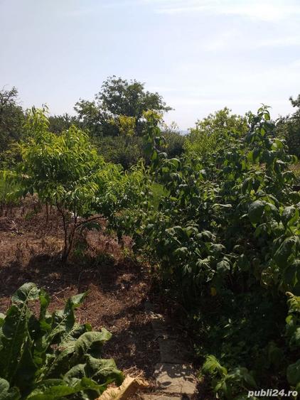 Casă cu 2 camere cu Teren 480 Mp în Turda