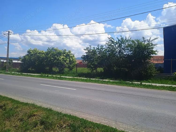 Teren de 4400 mp, în Cărpiniș