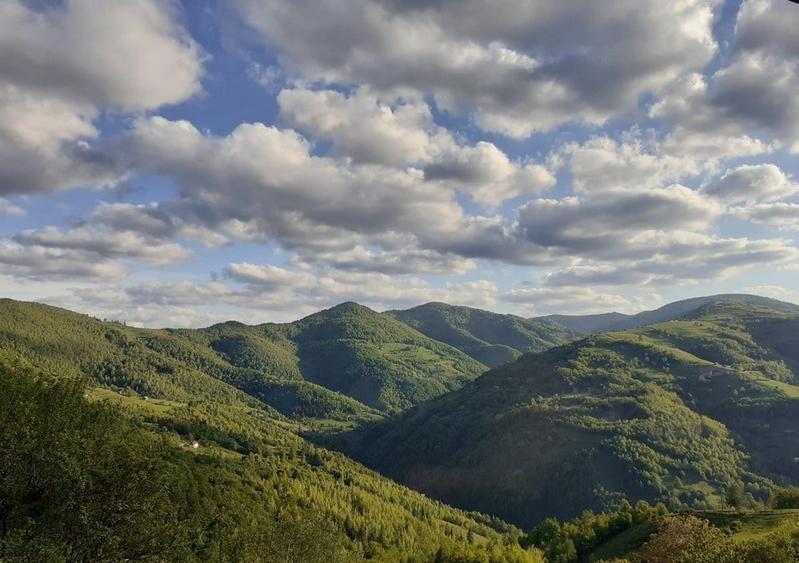 Casă individuală cu 4 camere cu Teren 8000 Mp în Plopi