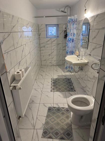 Casă cu 3 camere în Cărpiniș
