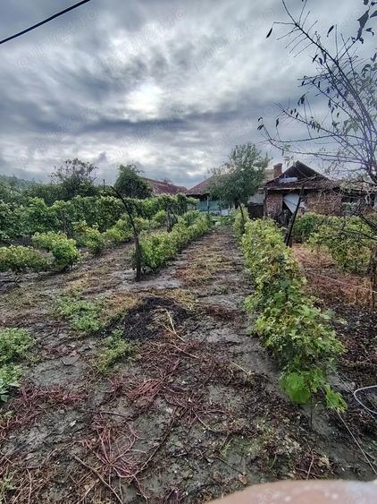 Casă cu 6 camere cu Teren 6000 Mp în Diviciorii Mici
