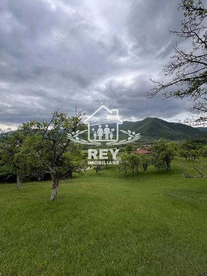 Teren Construcții intravilan de 5217 mp, în Cisnădioara