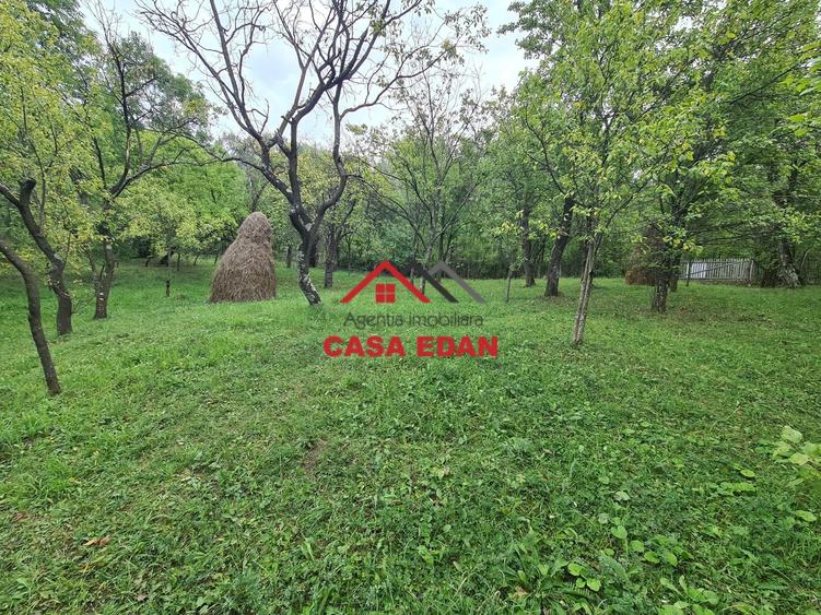 Teren Construcții intravilan de 5991 mp, în Șotrile