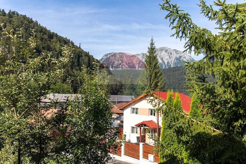 Casa de vacanta, in mijlocul naturii, Azuga! - 13