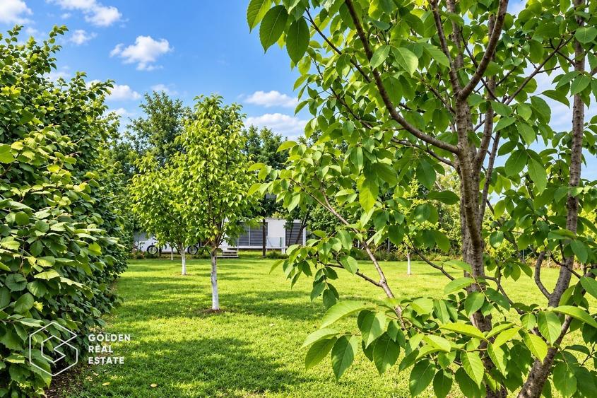 Teren Construcții intravilan de 2880 mp, în Țipar