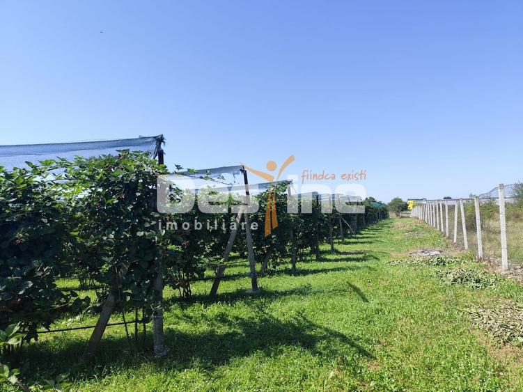 Proprietate specială, de 30 mp, în Nord