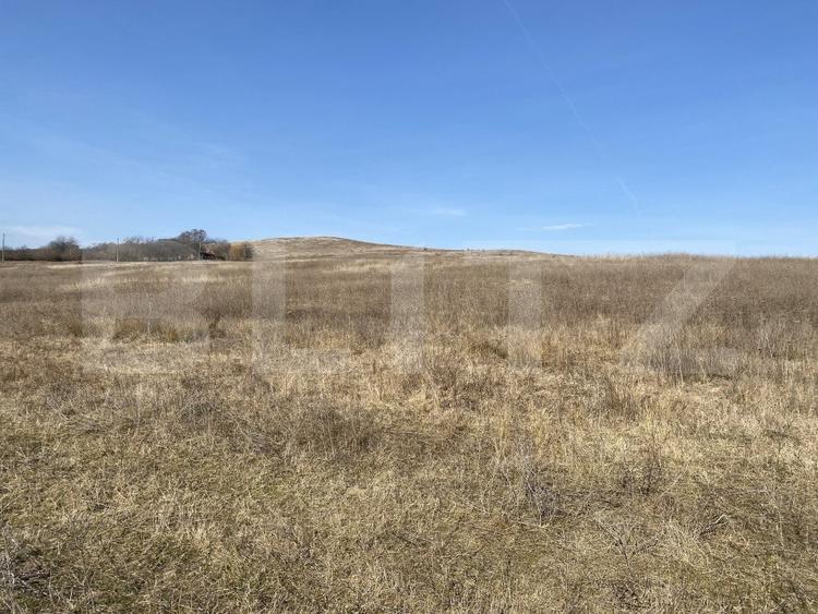 Teren agricol extravilan de 140551 mp, în Recea
