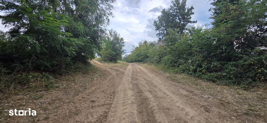 Teren de 9528 mp, în Vârciorog