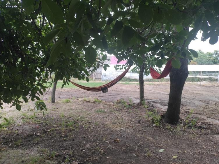 Casă cu 4 camere în Coșoteni