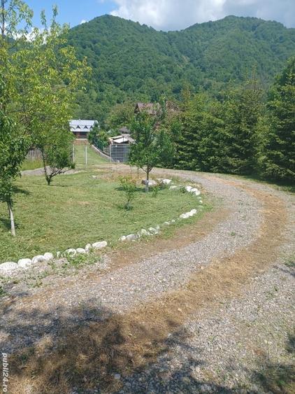 Teren de 800 mp, în Ibănești