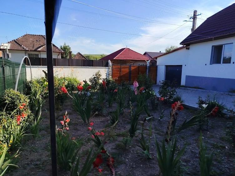 Casă cu Teren 1560 Mp în Așchileu