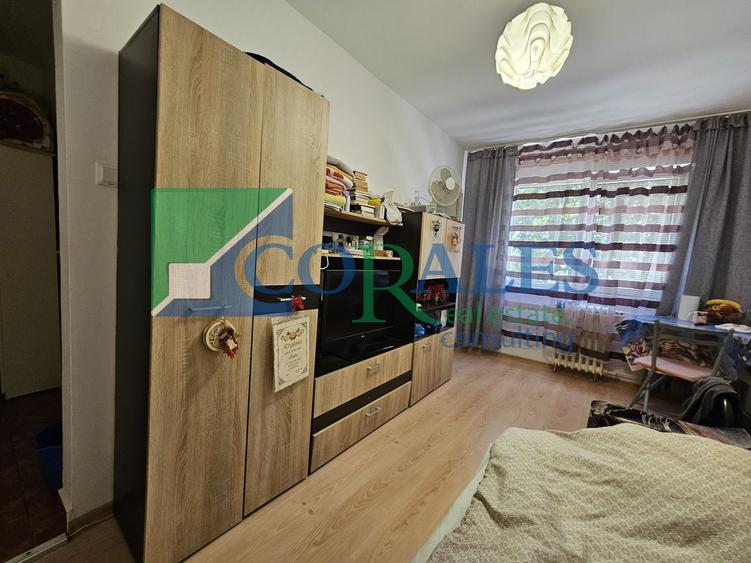 Apartament cu 2 camere nedecomandat, mobilat în Șagului