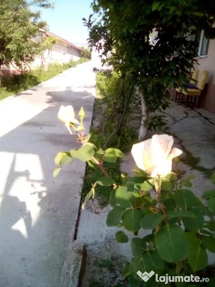 Casă cu 4 camere în Brădești