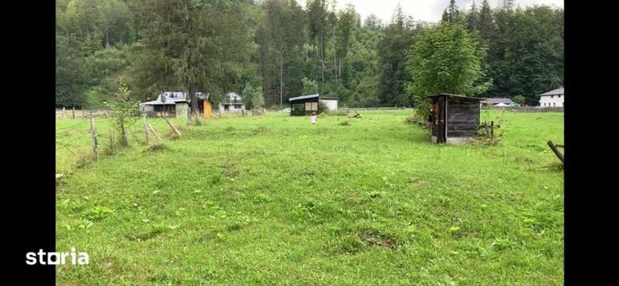 Teren de vanzare Valea Stanii - Gheia ( Prahova ) - 4