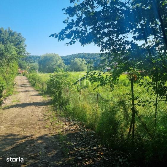 Teren Extravilan/Padure 90 000 Mp de Vanzare Zona Corunca/Acatari - 5