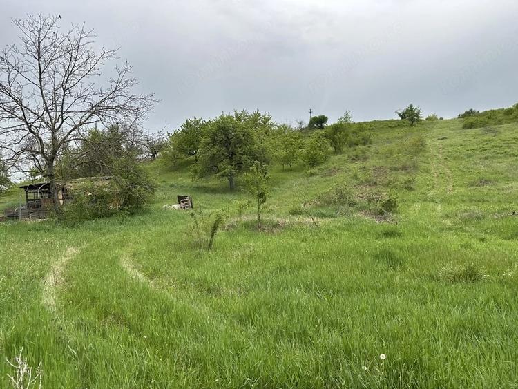 Teren 4062 mp de vanzare in zona Dealuri Oradea - 2
