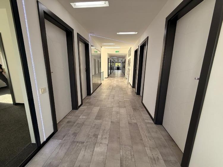 Birou, de 753 mp, în Mehala