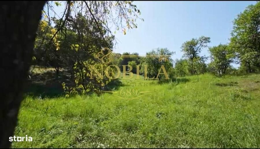 Spațiu comercial, în Filipești