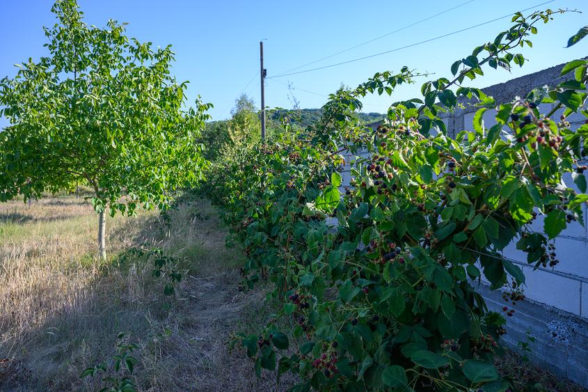 Teren intravilan de 3600 mp, în Dobreni