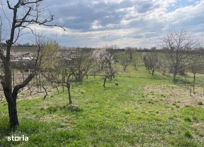 Casă cu 2 camere cu Teren 2052 Mp în Paleu