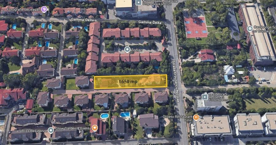 Teren Construcții intravilan de 1650 mp, în Iancu Nicolae