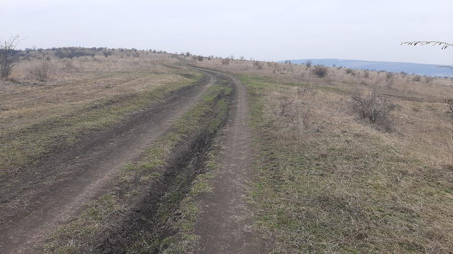Teren agricol extravilan de 119500 mp, în Iris