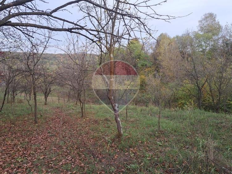 Teren Construcții intravilan de 3500 mp, în Vărbilău