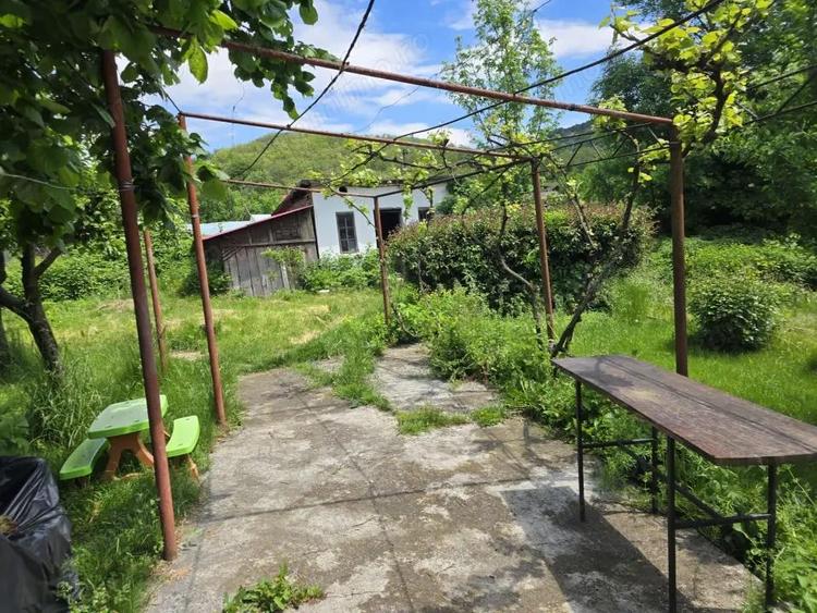 Casă cu Teren 3450 Mp în Mușătești