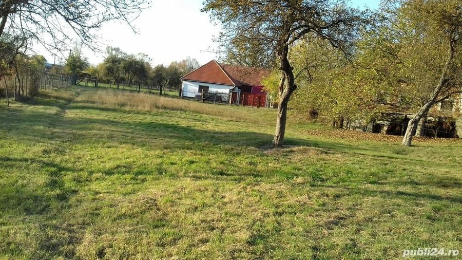 Teren de 2000 mp, în Porumbacu de Sus