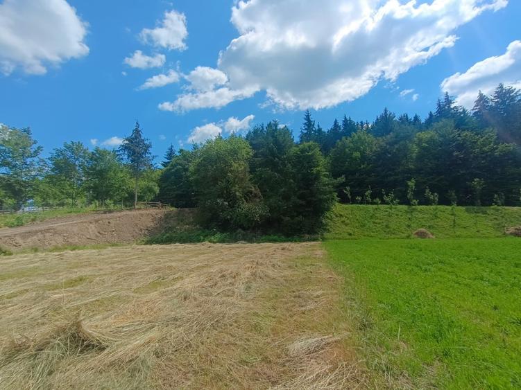 Teren extravilan de 3291 mp, în Vulcan