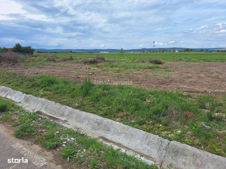 Teren de vanzare Sacadat 800 mp,drum asfaltat