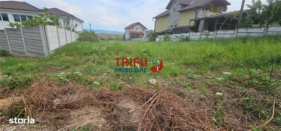 Spațiu comercial, în Șard