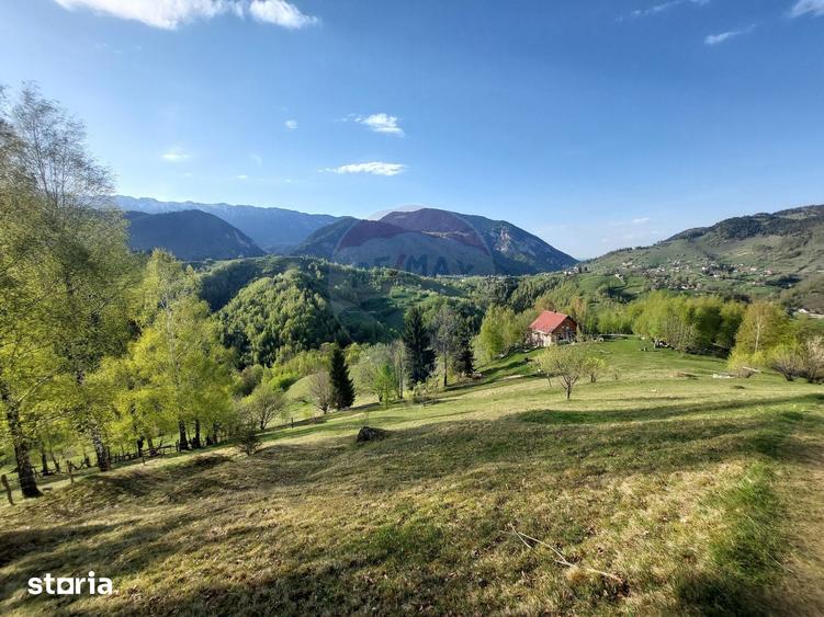 Teren de 11048 mp, în Moieciu