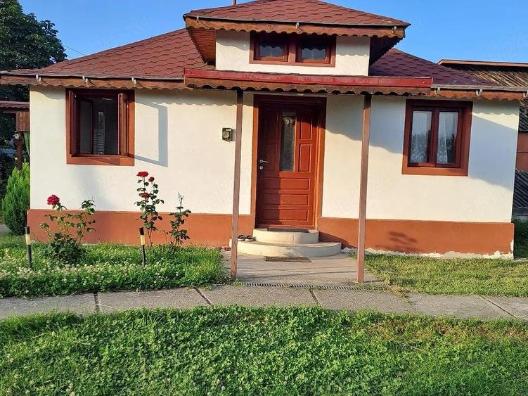 Casa de vanzare-Sat Profa Deal(35km de pitesti) - 9