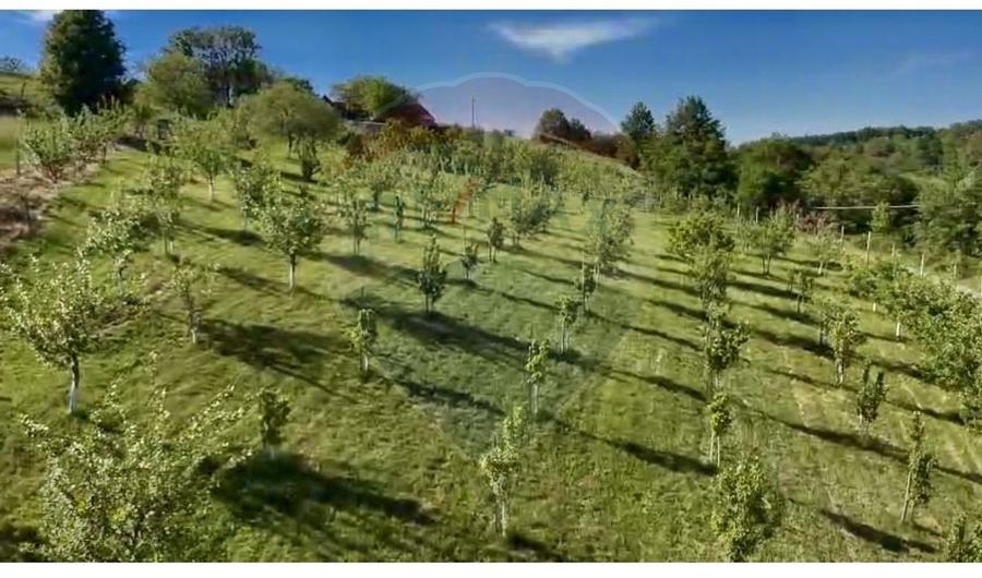 Teren agricol intravilan de 20170 mp, în Șuncuiuș