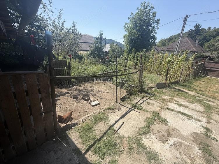 Casa de lemn locuibila