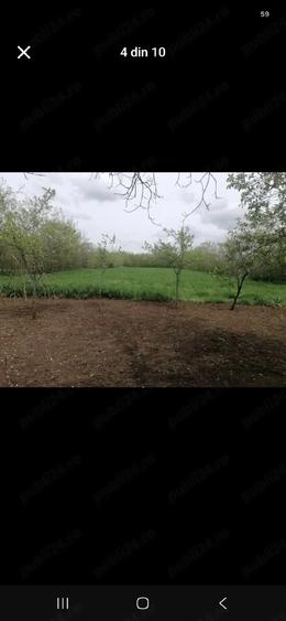 Casă cu 5 camere cu Teren 5400 Mp în Floreni