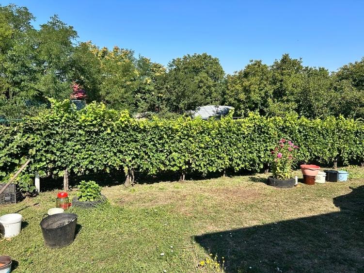 Casă individuală cu 4 camere cu Teren 2000 Mp în Negrea